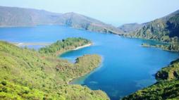 Tráfico de estupefacientes agravado. Associação criminosa. Prisão preventiva. MP de Ponta Delgada